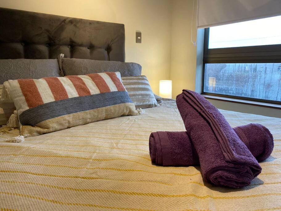 Apartamento Acogedor Y Comodo Depto. 2d+2b