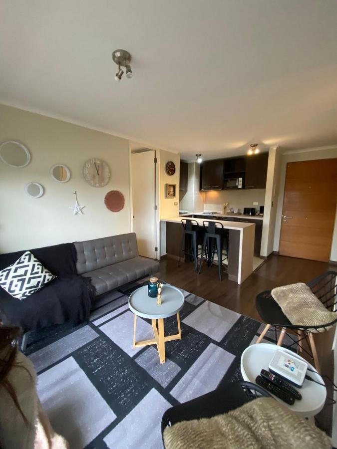 Acogedor Y Comodo Depto. 2d+2b Apartamento